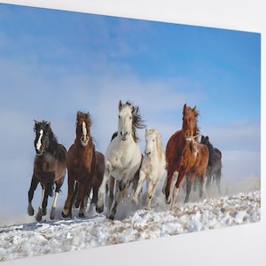 Running Horse, Canvas Wall Art Print | Poster Print Decor voor Home & Office Decoratie I Poster of KLAAR OM OP TE HANGEN
