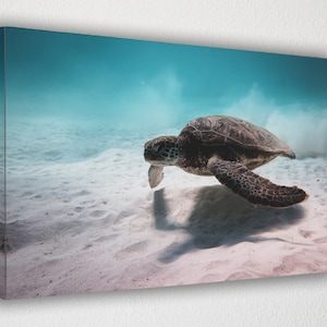 Sweet Water Turtle, Canvas Wall Art Print | Poster Print Decor for Home & Office Decoration I Poster or READY TO HANG