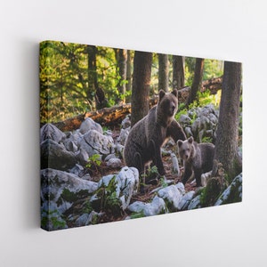 Baby Bear and Mother Bear, Canvas Wall Art Print | Poster Print Decor for Home & Office Decoration I Poster or READY TO HANG