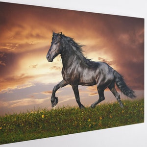 Black Horse, Canvas Wall Art Print | Poster Print Decor for Home & Office Decoration I Poster or READY TO HANG