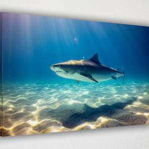 Killer Shark, Canvas Wall Art Print | Poster Print Decor for Home & Office Decoration I Poster or READY TO HANG