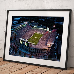 Michigan State Spartans Stadium, Poster Framed Room Decor, Home Decor, Movie Poster for Gift, READY TO HANG