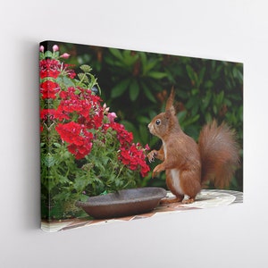 Sweet Squirrel Canvas Wall Art Print | Poster Print Decor for Home & Office Decoration I Poster or READY TO HANG