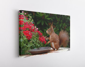 Sweet Squirrel Canvas Wall Art Print / Poster Print Decoración para decoración de hogar y oficina I Póster o LISTO PARA COLGAR