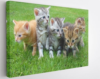 Lieve Kittens, Canvas Wall Art Print | Poster Print Decor voor Home & Office Decoratie I Poster of KLAAR OM OP TE HANGEN
