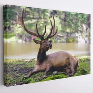 Big Deer, Canvas Wall Art Print | Poster Print Decor for Home & Office Decoration I Poster or READY TO HANG