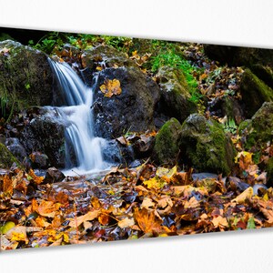 Natural Beauties, Canvas Wall Art Print | Poster Print Decor for Home & Office Decoration I Poster, READY TO HANG