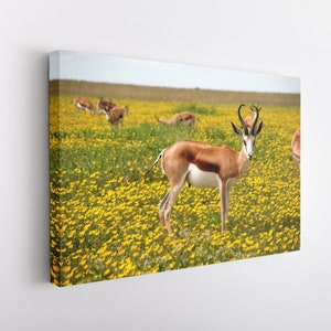 Family Antelope, Canvas Wall Art Print | Poster Print Decor for Home & Office Decoration I Poster or READY TO HANG