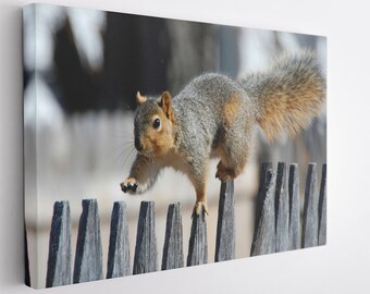 Sweet Squirrel Canvas Wall Art Print / Poster Print Decor para la decoración del hogar y la oficina I Poster o LISTO PARA COLGAR