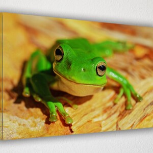 Green Frog, Canvas Wall Art Print | Poster Print Decor for Home & Office Decoration I Poster or READY TO HANG