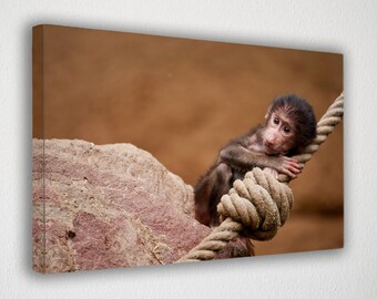 Little Baby Monkey, Canvas Wall Art Print | Poster Print Decor for Home & Office Decoration I Poster or READY TO HANG