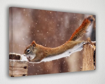 Little Squirrel Canvas Wall Art Print / Poster Print Decor para la decoración del hogar y la oficina I Poster o LISTO PARA COLGAR
