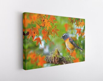 Birdie, Canvas Wall Art Print | Poster Print Decor for Home & Office Decoration I Poster or READY TO HANG