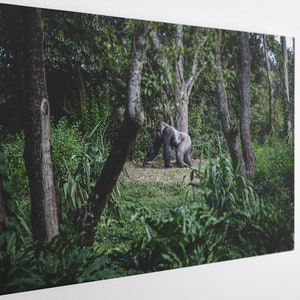 Mighty Gorilla, Canvas Wall Art Print | Poster Print Decor for Home & Office Decoration I Poster or READY TO HANG