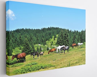 Herd of Horses, Canvas Wall Art Print | Poster Print Decor for Home & Office Decoration I Poster or READY TO HANG