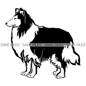 Collie SVG, Rough Collie Svg, Hund Svg, Collie Clipart, Collie-filer för Cricut, Collie-klippfiler för silhuett, Png, Dxf