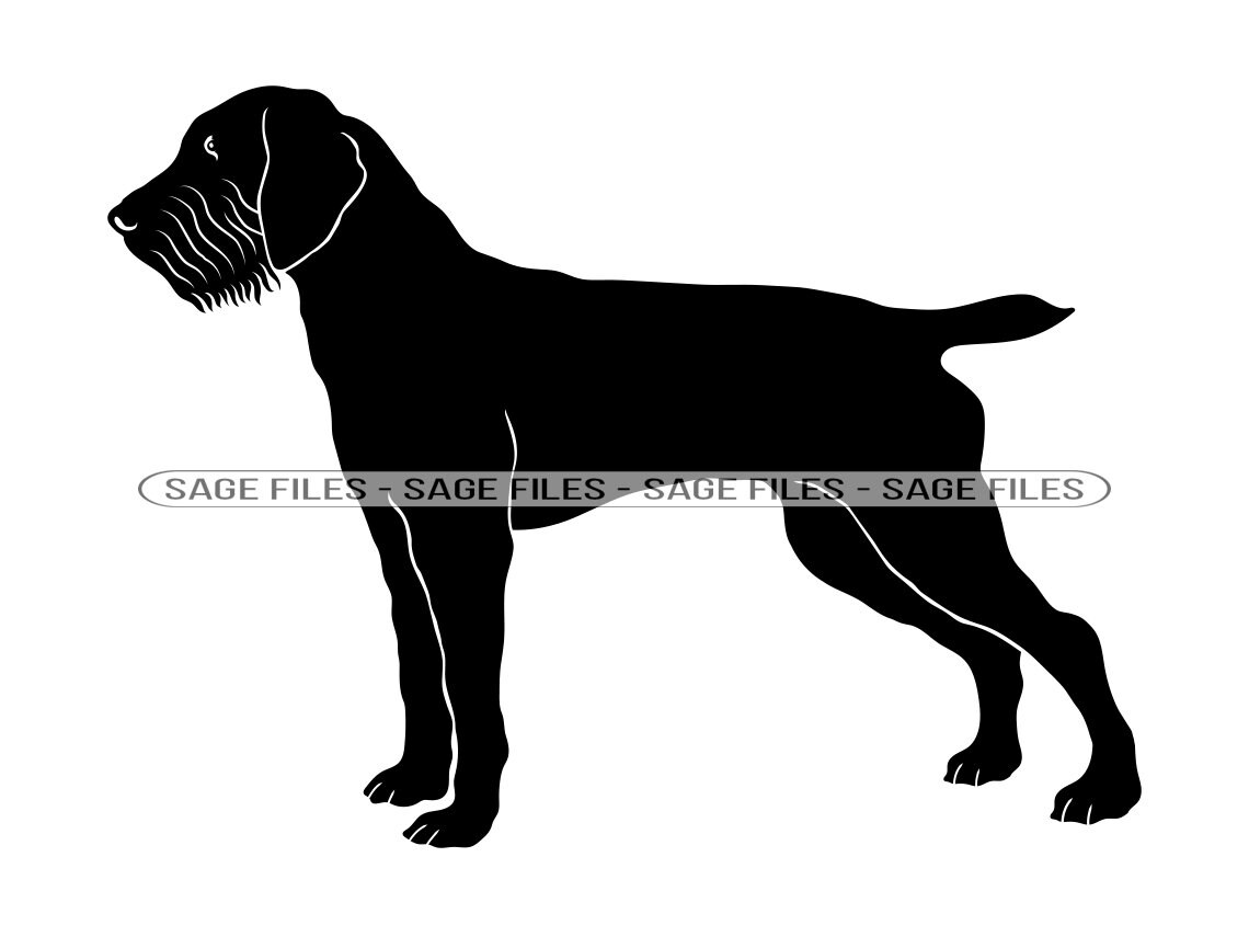 How To Get A Pet Passport For A Pudelpointer In Italy
