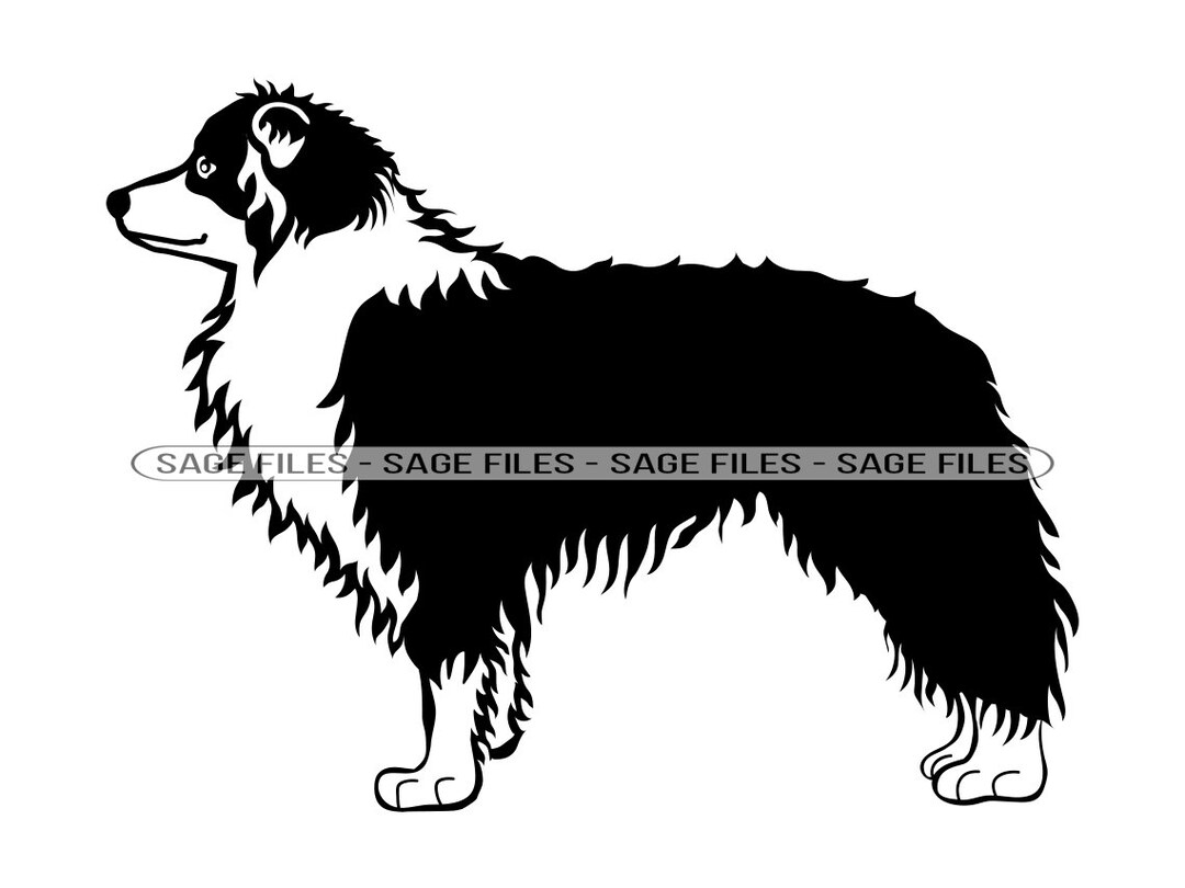 Border Collie SVG, Dog Svg, Border Collie Clipart, Border Collie Files