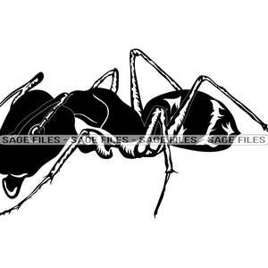 Formiga gigante SVG, Ant SVG, Insect Svg, Ant Clipart, Arquivos de formiga para Cricut, Arquivos de corte de formiga para silhueta, Png, Dxf