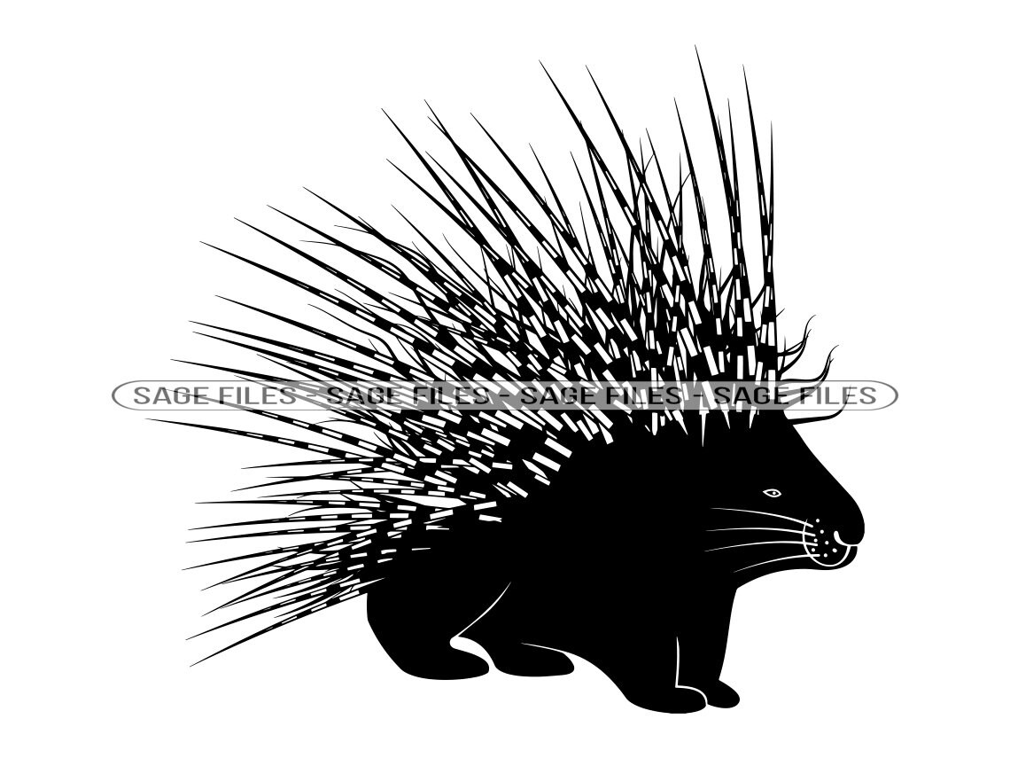 Porcupine SVG Porcupine Clipart Porcupine Files for Cricut - Etsy