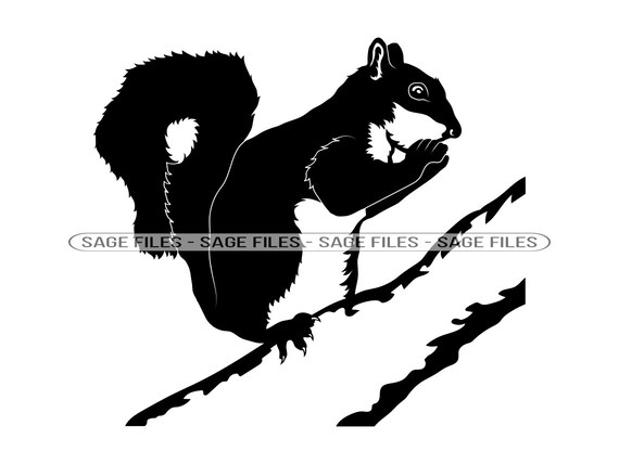 Squirrel on A Tree SVG Squirrel SVG Squirrel Clipart - Etsy