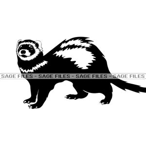 Ferret #6 SVG, Ferret SVG, Ferret PNG, Ferret Design, Ferret Clipart, Ferret Cut Files, Png, Dxf