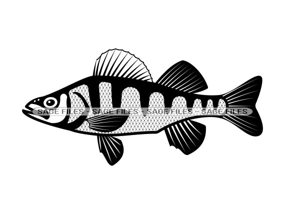 Baars SVG Vissen Svg Vis Svg Vissen Clipart Vis bestanden - Etsy België