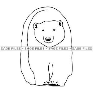 Polar Bear #5 SVG, Polar Bear SVG, Polar Bear PNG, Polar Bear Design, Polar Bear Clipart, Polar Bear Cut Files, Png, Dxf