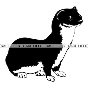 Weasel #5 SVG, Weasel SVG, Weasel PNG, Weasel Design, Weasel Clipart, Weasel Cut Files, Png, Dxf