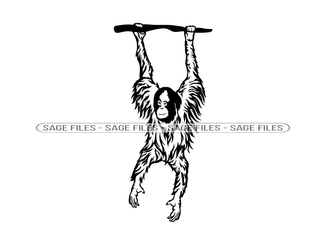 Orangutan 2 SVG, Orangutan SVG, Ape Svg, Orangutan Clipart, Orangutan Files  for Cricut, Orangutan Cut Files for Silhouette, Png, Dxf - Etsy