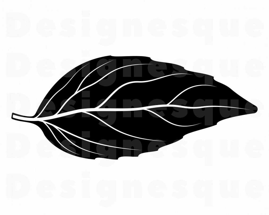 Basil SVG Leaf SVG Herbs SVG Basil Clipart Basil Files for Etsy Ireland