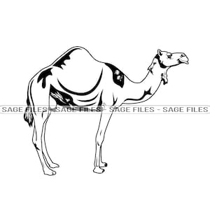 Camel Outline SVG, Camel Svg, Camel Clipart, Camel Files for Cricut, Camel Cut Files For Silhouette, Png, Dxf