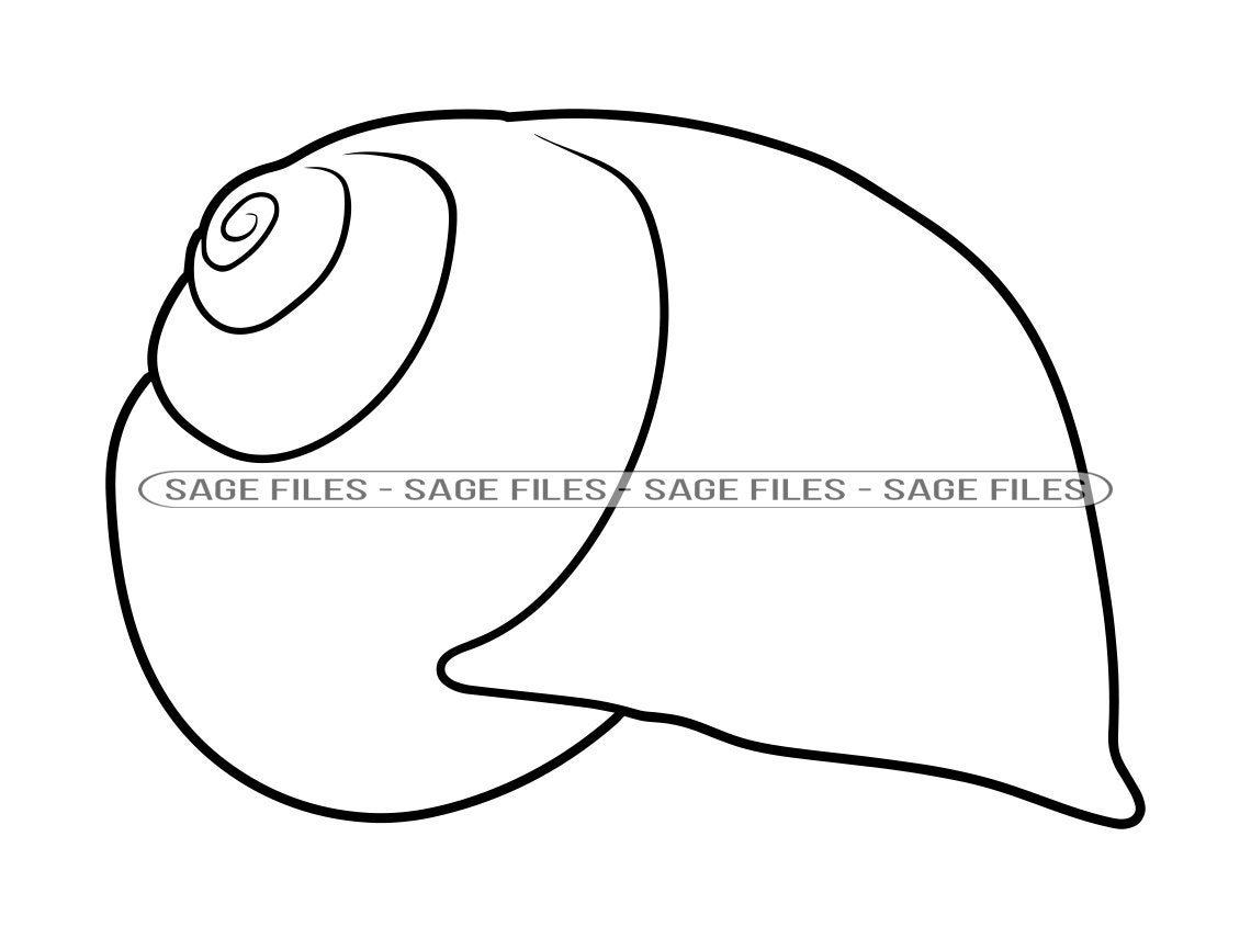 Snail Shell Outline 4 SVG Snail Svg Snail Shell Clipart Etsy UK