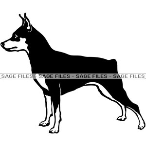 Miniature Pinscher SVG, Dog Svg, Miniature Pinscher Clipart, Miniature Pinscher Files for Cricut, Cut Files For Silhouette, Png, Dxf