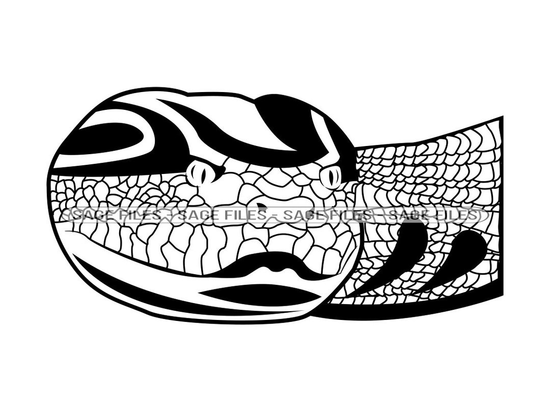 Anaconda 7 SVG, Anaconda SVG, Snake Svg, Python Svg, Anaconda Clipart ...