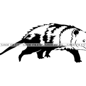 Opossum #6 SVG, Opossum SVG, Opossum PNG, Opossum Design, Opossum Clipart, Opossum Cut Files, Png, Dxf