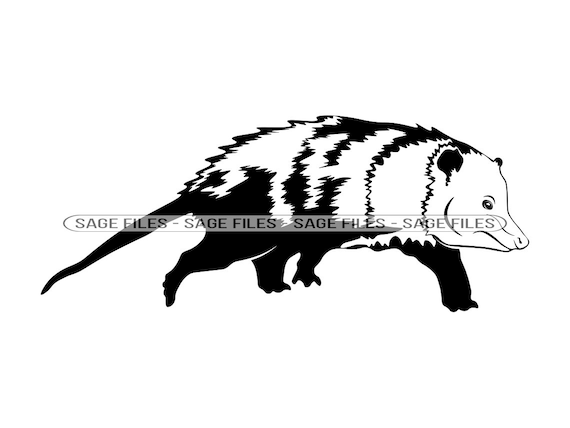 Opossum 6 SVG Opossum SVG Opossum PNG Opossum Design - Etsy