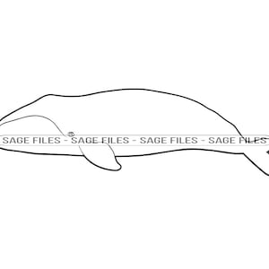 Noordkaper Outline SVG, Whale Svg, Whale Clipart, Whale Files voor Cricut, Whale Cut Files voor Silhouet, Png, Dxf