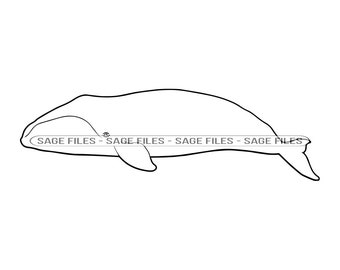 Contorno de ballena franca SVG, ballena svg, clipart de ballena, archivos de ballena para cricut, archivos de corte de ballena para silueta, png, dxf