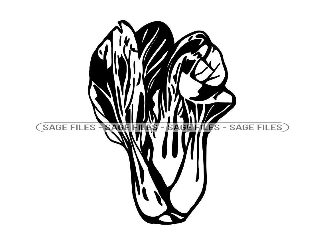 Bok Choy SVG Vegetables Svg Bok Choy Clipart Bok Choy Files - Etsy ...