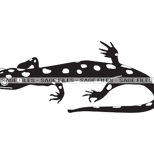 Gecko SVG, Salamander SVG, Lizard Svg, Salamander Clipart, Salamander Files for Cricut, Cut Files For Silhouette, Png, Dxf