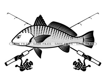 Atlantic Croaker Svg - Etsy