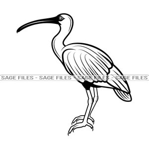 Ibis SVG, Bird SVG, Ibis Clipart, Ibis Files for Cricut, Ibis Cut Files For Silhouette, Png, Dxf