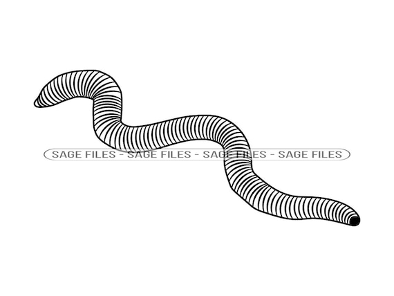 Worm 2 SVG, Worm SVG, Maggot Svg, Worm Clipart, Worm Files for