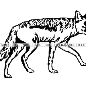 Può includere: Illustrazione in bianco e nero di un cane selvatico, probabilmente un licaone, che cammina verso destra. Il cane ha una lunga coda folta e un muso appuntito.