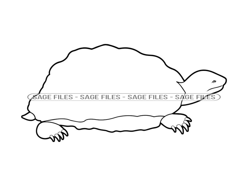 Schildkröte Umriss 3 SVG Schildkröte SVG Schildkröte - Etsy Österreich