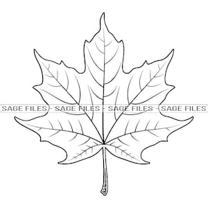 Maple Leaf Outline SVG, Maple Leaf Svg, Autumn Svg, Maple Leaf Clipart, Maple Leaf Files for Cricut, Cut Files For Silhouette, Png, Dxf,