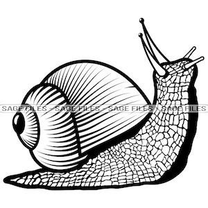 Slak SVG, Tuinslak Svg, Slak Clipart, Slakkenbestanden voor Cricut, Slak Gesneden Bestanden Voor Silhouet, Png, Dxf
