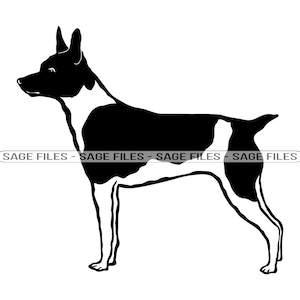 Rat Terrier SVG, Dog Svg, Rat Terrier Clipart, Rat Terrier Files for Cricut, Rat Terrier Cut Files For Silhouette, Png, Dxf