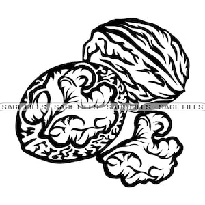 Walnuts SVG, Nuts Svg, Walnut Svg, Walnuts Clipart, Walnuts Files for Cricut, Walnuts Cut Files For Silhouette, Walnuts Png, Walnuts Dxf